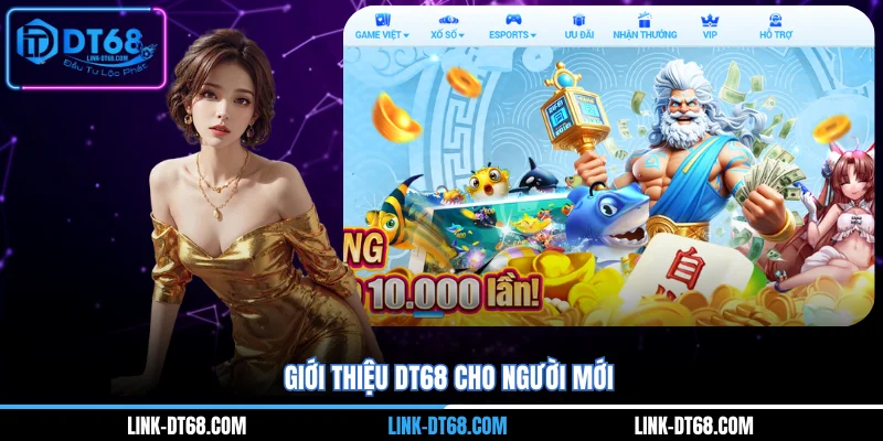 Giới thiệu Dt68 cho người mới