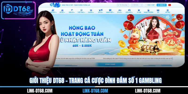 Giới Thiệu Dt68 - Trang Cá Cược Đình Đám Số 1 Gambling